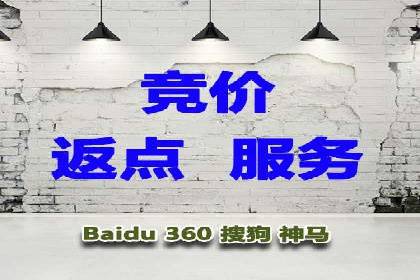 某公司通过竞价SEM优化搜索引擎排名案例